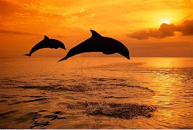 《沉没之城：复刻版》公布 虚幻5引擎、免费升级