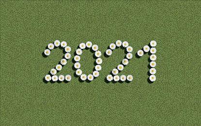 Aniplex收购DW游戏业务 FGO项目将由新公司接管