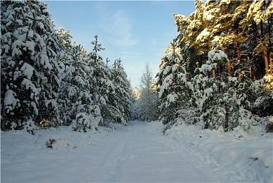 腾讯《DNF》手游最后一次测试结束 最快下周上线